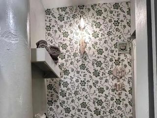 Foto 8 de Departamento en alquiler en Banfield Oeste