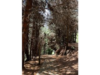 Foto 11 de Venta de Hacienda Turística, Nabón, 42 ha