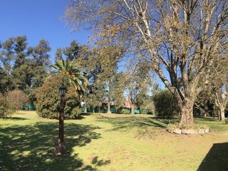Foto 11 de Terreno a la VENTA para Desarrollo Multifamiliar - Panamericana y Champagnat