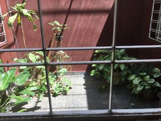 Foto 7 de VENDO CASA DE 4 DORMITORIOS CON DEPTO DE 2 DORMITORIOS Y GALPON