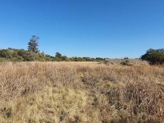Foto 5 de ALQUILO terreno de 3.5 has a 1 km de Circunvalación !!!