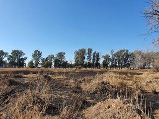 Foto 8 de ALQUILO terreno de 3.5 has a 1 km de Circunvalación !!!