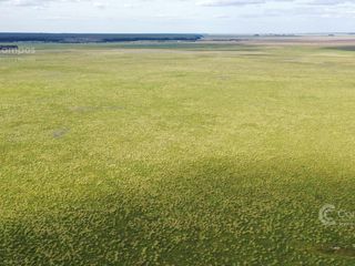Se Vende Campo de 10.000 ha Corrientes, Argentina