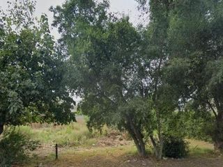 Foto 9 de Terreno en venta - 870Mts2 - San Carlos, La Plata