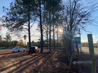 Foto 23 de LOCAL EN VENTA EN CENTRO COMERCIAL MEET-MAROTO PROPIEDADES