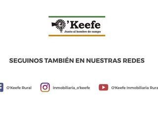 Foto 7 de Campo en venta de 7300 has en Oran, Salta - IDEAL INVERSORES, PARA DESARROLLAR