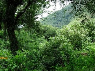 Foto 2 de Campo en venta de 7300 has en Oran, Salta - IDEAL INVERSORES, PARA DESARROLLAR
