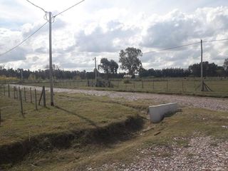 Foto 15 de Terreno - Coronel Brandsen