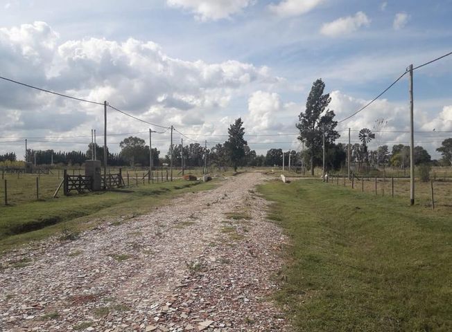 place photo 8