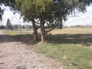 Foto 10 de Terreno - Coronel Brandsen