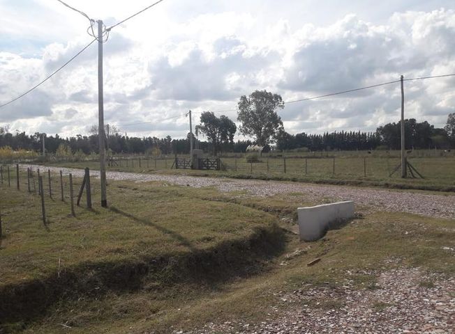 place photo 15