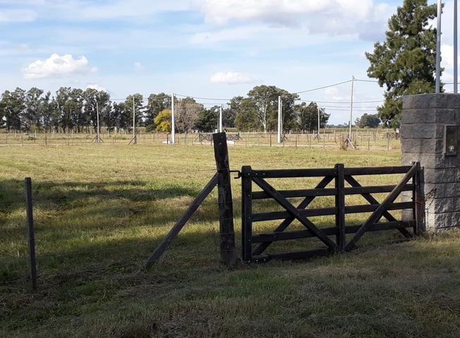 place photo 12