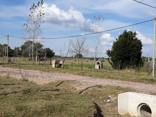 Foto 6 de Terreno - Coronel Brandsen