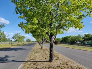 Foto 1 de Navarrete Propiedades - Lote en venta en Santa Elena Pilar del Este