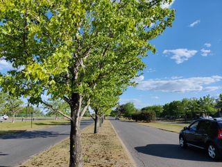 Foto 2 de Navarrete Propiedades - Lote en venta en Santa Elena Pilar del Este
