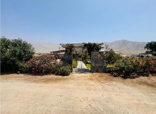 place photo 37