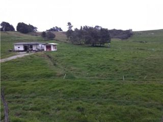 Foto 8 de Lote en Venta en  Yarumal, sobre la Troncal.