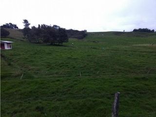 Foto 4 de Lote en Venta en  Yarumal, sobre la Troncal.