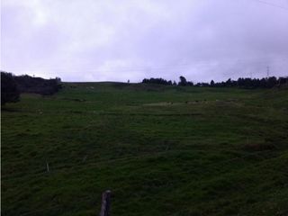 Foto 9 de Lote en Venta en  Yarumal, sobre la Troncal.
