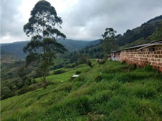 Foto 12 de Lote en Venta en  Yarumal, sobre la Troncal.