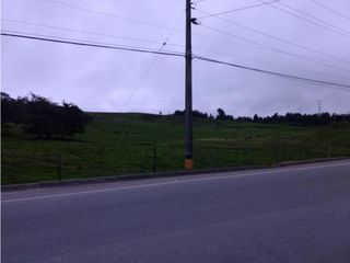Foto 10 de Lote en Venta en  Yarumal, sobre la Troncal.
