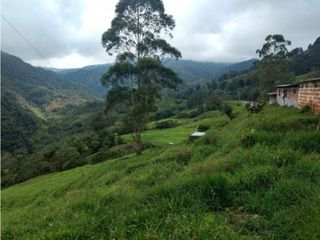Foto 1 de Lote en Venta en  Yarumal, sobre la Troncal.
