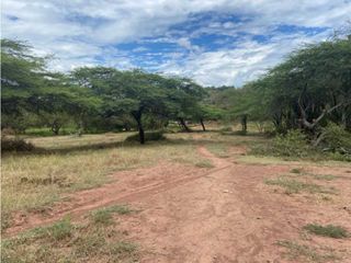 Foto 5 de Venta De Lotes En Ricaurte: Lagos De Leticia