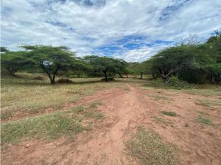 Foto 4 de Venta De Lotes En Ricaurte: Lagos De Leticia