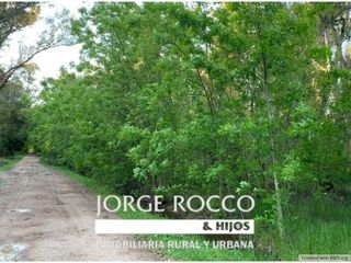 Foto 1 de Lote en venta en Barrio Bosquecitos en Brandsen. 1.600 m2