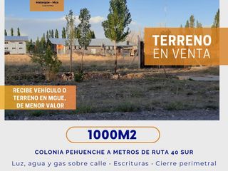 Foto 1 de Terreno en  Colonia Pehuenche con cierre perimetral