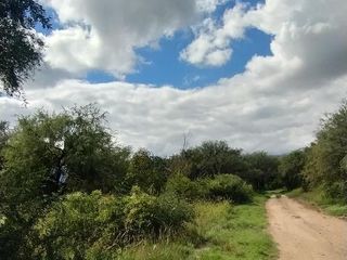 Foto 2 de Hermoso Campo de 5 hectareas con Nogales, Hermosa vista a la Montaña!!