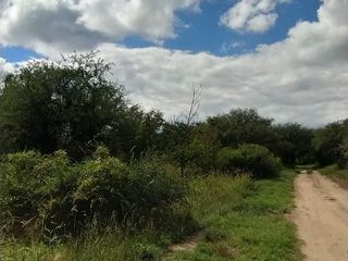 Foto 3 de Hermoso Campo de 5 hectareas con Nogales, Hermosa vista a la Montaña!!