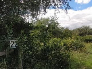 Foto 5 de Hermoso Campo de 5 hectareas con Nogales, Hermosa vista a la Montaña!!