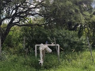 Foto 1 de Hermoso Campo de 5 hectareas con Nogales, Hermosa vista a la Montaña!!
