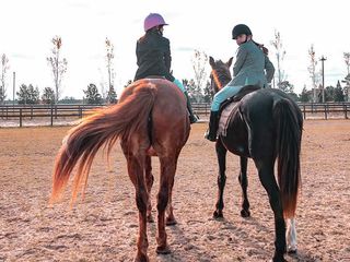 Foto 5 de Venta de terreno en Haras del Sur I