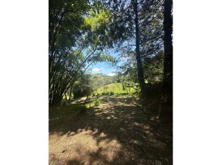 Foto 8 de Casa Lote, en venta, sector Rionegro