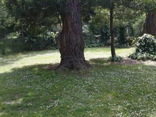 Foto 13 de Casa en venta - 4 Dormitorios 3 Baños 1 Cochera - 450Mts2 - Mar del Plata