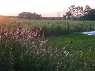 Foto 3 de Campo en Alquiler en Asociación Argentina de Polo, Pilar GBA Norte - 6 ambientes
