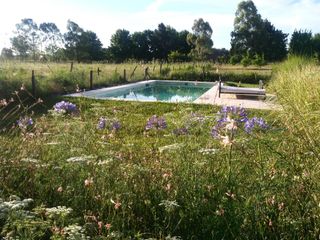 Foto 1 de Campo en Alquiler en Asociación Argentina de Polo, Pilar GBA Norte - 6 ambientes