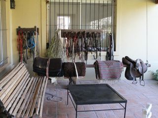 Foto 9 de Campo en Alquiler en Asociación Argentina de Polo, Pilar GBA Norte - 6 ambientes
