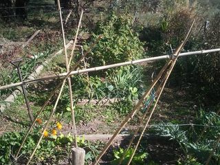 Foto 31 de Campo en Alquiler en Asociación Argentina de Polo, Pilar GBA Norte - 6 ambientes