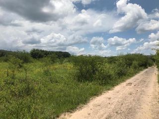 Foto 2 de TERRENOS EN VENTA - LA CALDERA - SALTA- 4 HECTAREAS