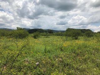 Foto 1 de TERRENOS EN VENTA - LA CALDERA - SALTA- 4 HECTAREAS