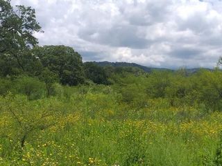 Foto 3 de TERRENOS EN VENTA - LA CALDERA - SALTA- 4 HECTAREAS