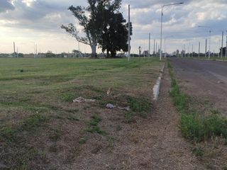 Foto 4 de Venta/Financiacion Terrenos en Francisco Primero - Arroyo Seco