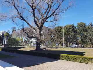 Foto 9 de deparatmento - pinamar
