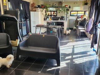 Foto 13 de Casa en venta - 3 Dormitorios 2 Baños - 1.000Mts2 - Gorina, La Plata