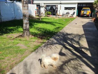 Foto 1 de Casa en venta - 3 Dormitorios 2 Baños - 1.000Mts2 - Gorina, La Plata