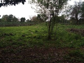 Foto 6 de Terreno de 15mil m2 en venta en San Jose Barrio Don Bosco - Misiones