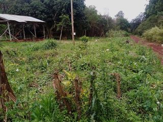 Foto 3 de Terreno de 15mil m2 en venta en San Jose Barrio Don Bosco - Misiones